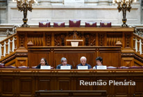 Parlamento dos Jovens  |  Plenário