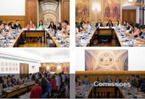 Parlamento dos Jovens  |  Comissões